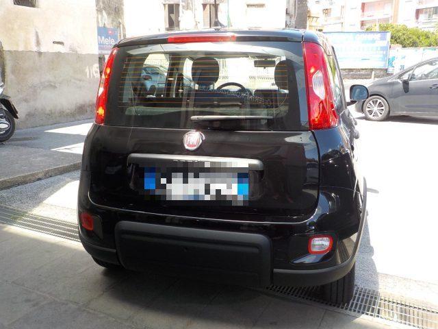 FIAT Panda MY25 - 1.0 FireFly Hybrid POP