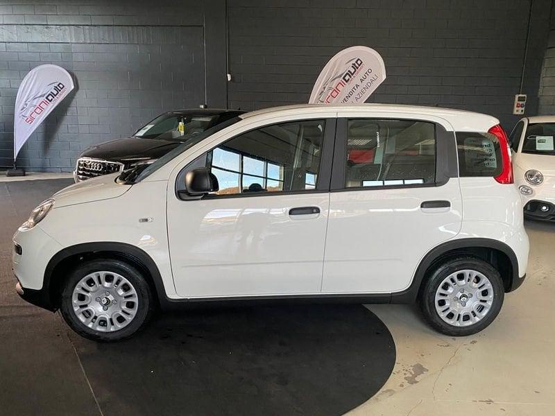 FIAT Panda 1.0 FireFly S&S Hybrid 5 POSTI - PROMO SIRONIAUTO+