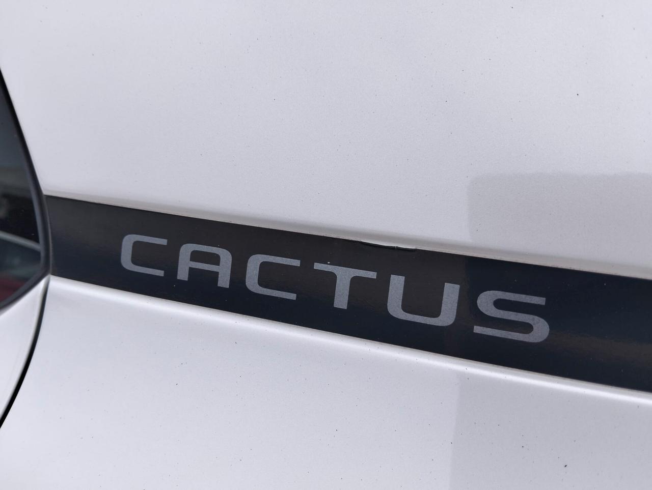 Citroen C4 Cactus BlueHDi 100 S&S Shine Pack
