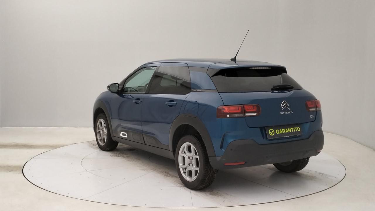 CITROEN C4 Cactus 2018 - C4 Cactus 1.2 puretech Shine s&s 110cv my19