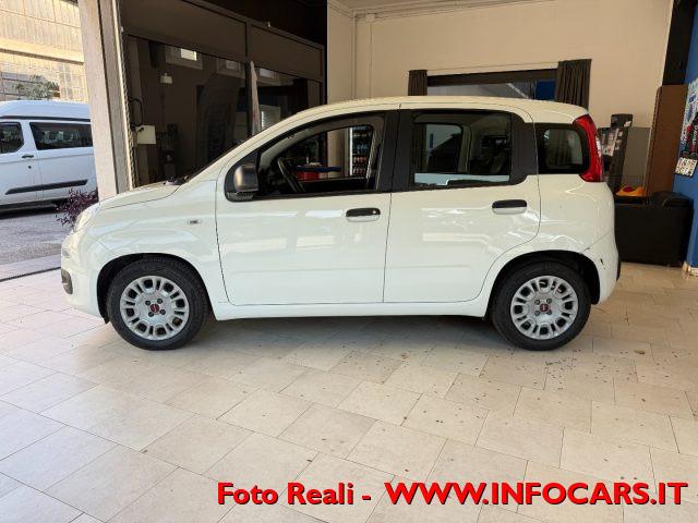 FIAT Panda Hybrid 1.0 FireFly 70 cv Neopatentati - PROMO