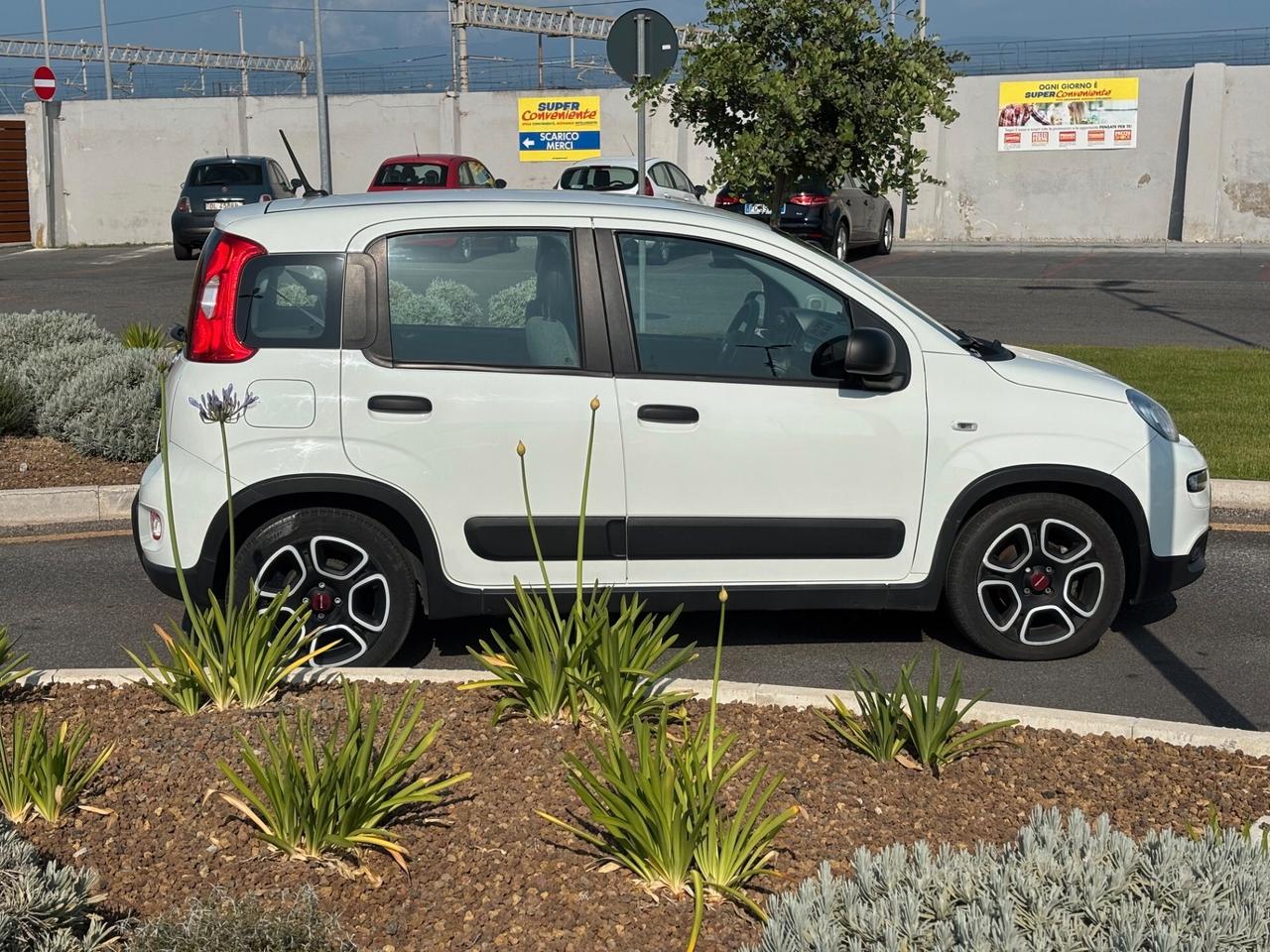 Fiat Panda 1.0 FireFly S&S Hybrid Sport