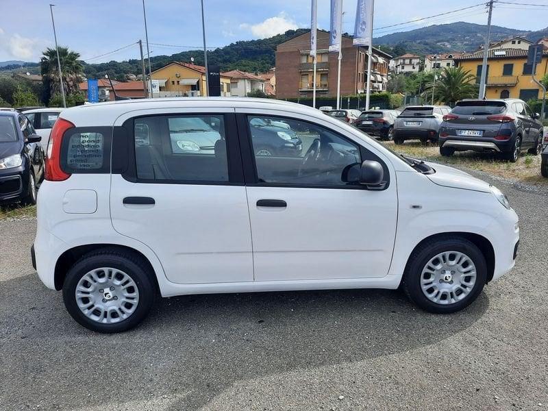 FIAT Pandina PANDA MY26 1.0 65CV HYBRID ICON