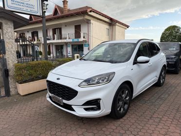 Ford Kuga 1.5 EcoBlue 120 CV aut. 2WD ST-Line