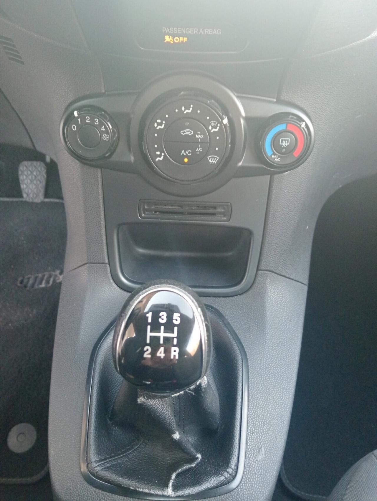 Ford Fiesta 1.4 3 porte Bz.- GPL Black & White Edition