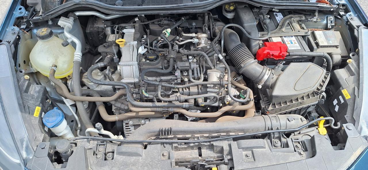 Ford Fiesta 1.0 Ecoboost Hybrid 125 CV 5 porte Titanium