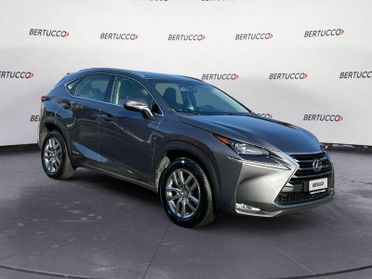 Lexus NX 1ª serie Hybrid 4WD Executive