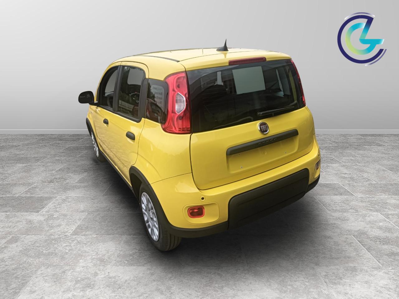 FIAT Panda III 2024 - Panda 1.0 firefly hybrid s&s 70cv