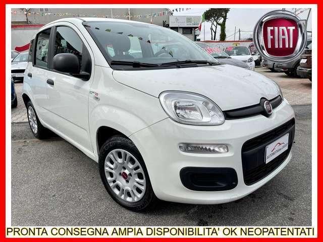 Fiat Panda Panda 1.2 Easy*AMPIA DISPOBILITA' PRONTA CONSEGNA*