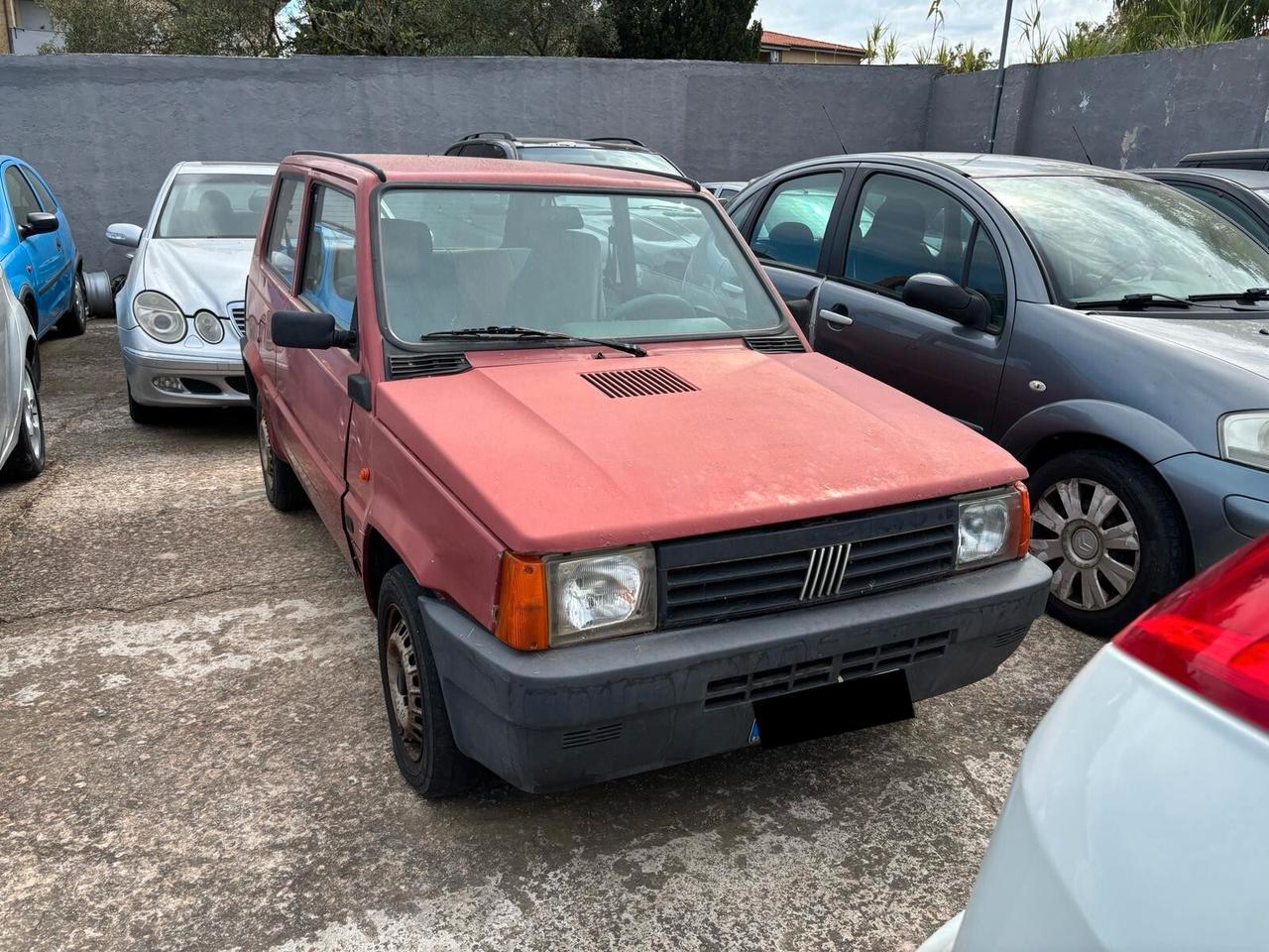 Fiat Panda 1100 i.e. cat Young