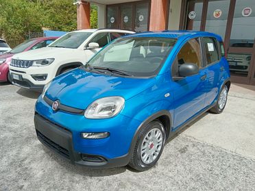 Fiat Panda 1.0 70CV HYBRID KM ZERO NEOPATENTATI