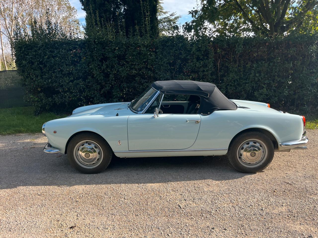 Alfa Romeo Giulia Spider