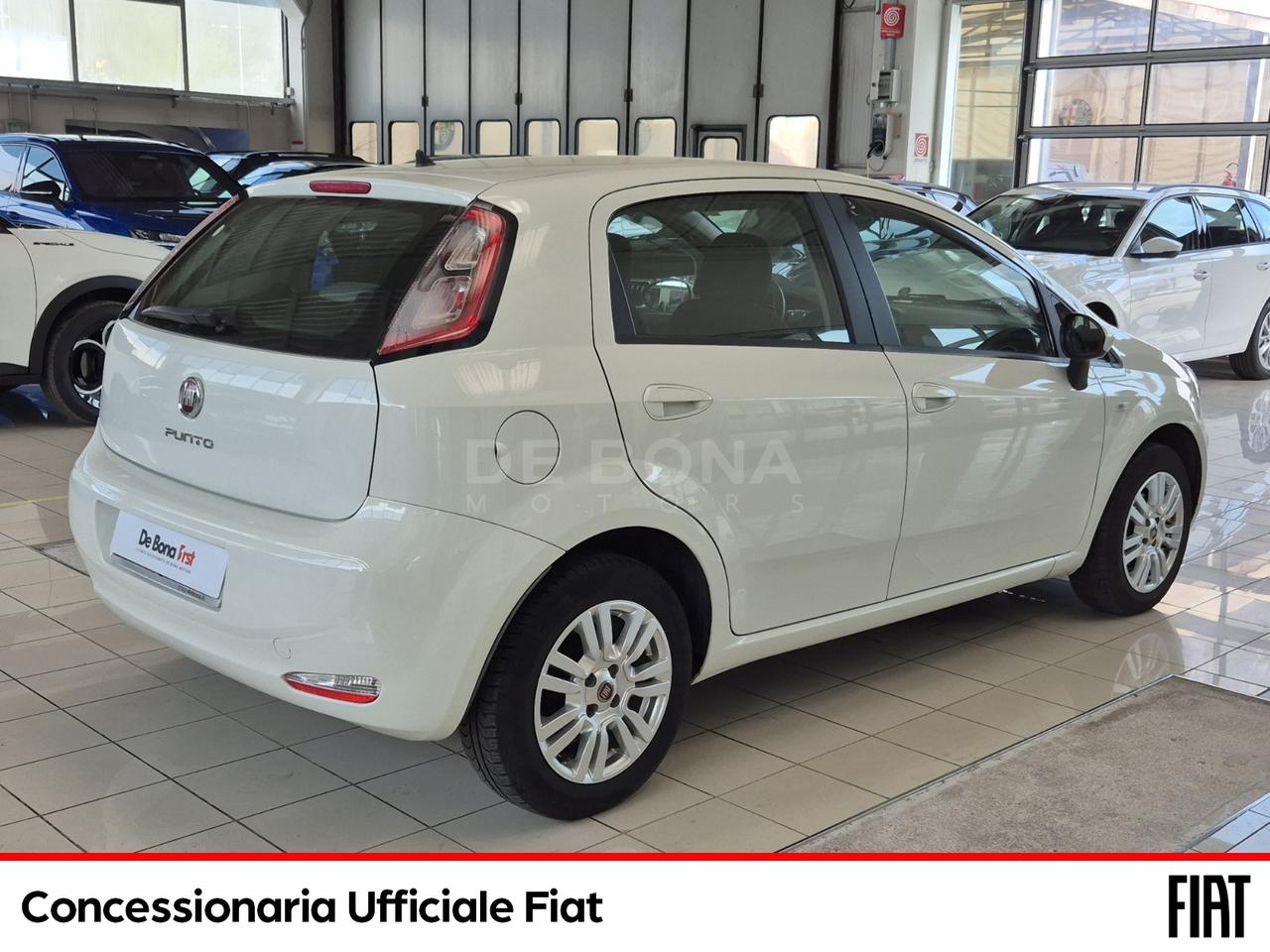 Fiat Punto 5p 1.2 street (easy)