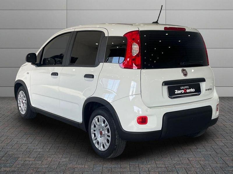 FIAT Panda Panda 1.0 firefly hybrid s&s 70cv