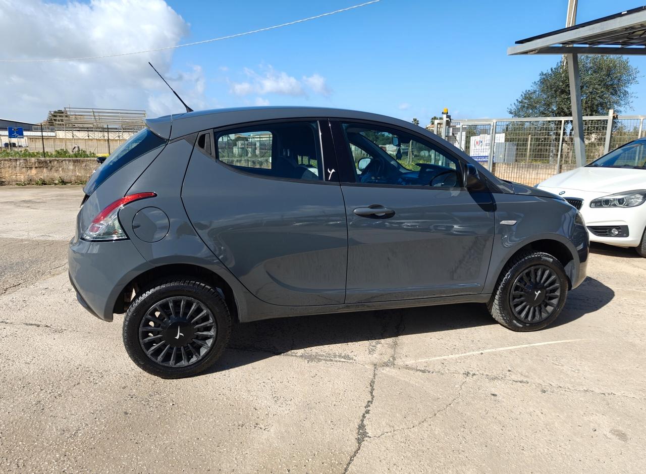 Lancia Ypsilon 0.9 TwinAir 85 CV 5 porte Metano Ecochic Elefantino