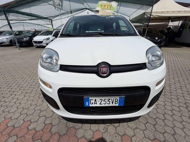 FIAT Panda Panda III 1.2 Lounge easypower Gpl 69cv my19