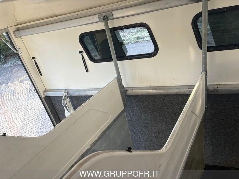 Trailer STEINSBERGER 3PF STEINSBERGER 3PF TRASPORTO CAVALLI