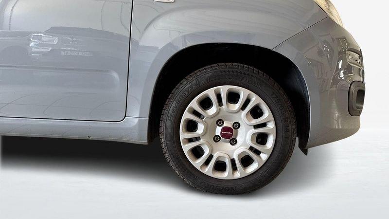 FIAT Panda III 2016 1.2 69cv Easy S&S my19