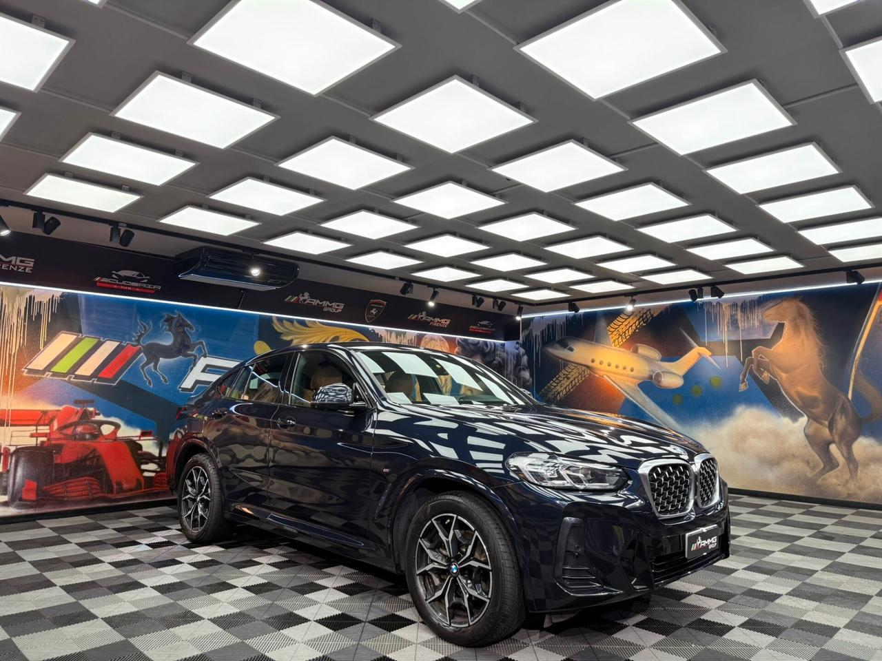 Bmw X4 xDrive20i 48V Msport (227)