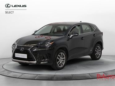 Lexus NX NX 300h 2.5 Premium 4wd cvt