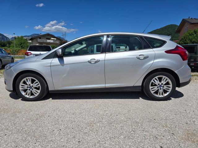 FORD Focus 1.6 125CV 5p.Business