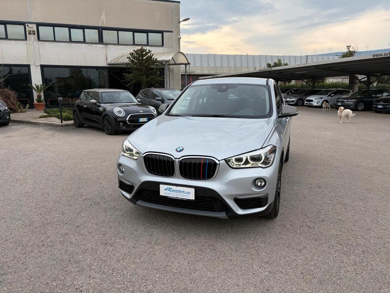 Bmw X1 sDrive18d Business Aut