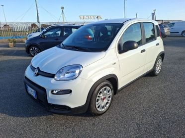 FIAT Panda 1.0 FireFly S&S Hybrid MY 24 Con Pack City Light e Ruotino - KM0 -