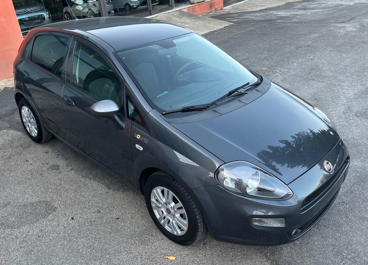 Fiat Punto 1.2 8V 5 porte Young-solo km 55900-