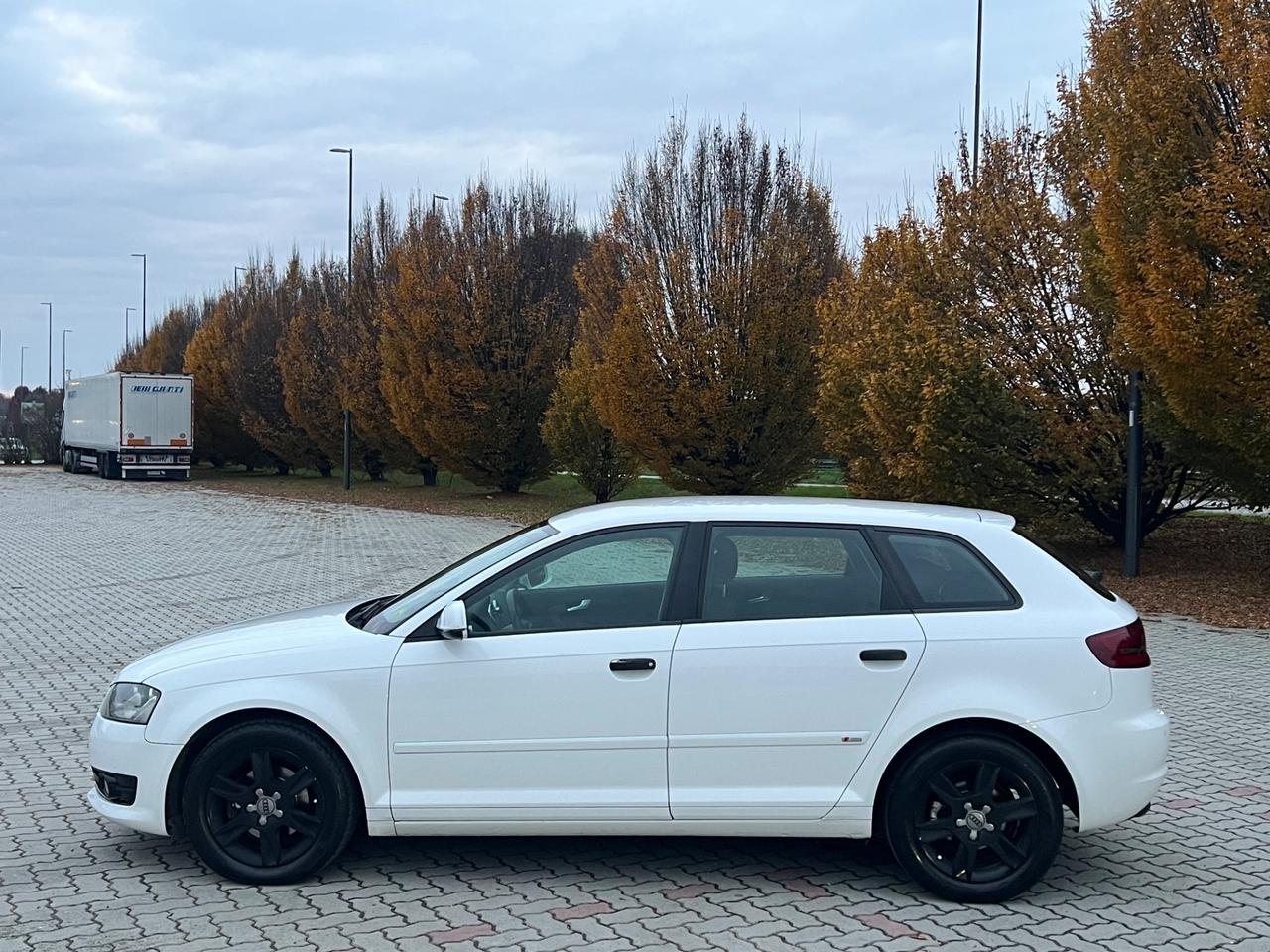 Audi A3 SPB 1.6 TDI CR F.AP. Young Edition