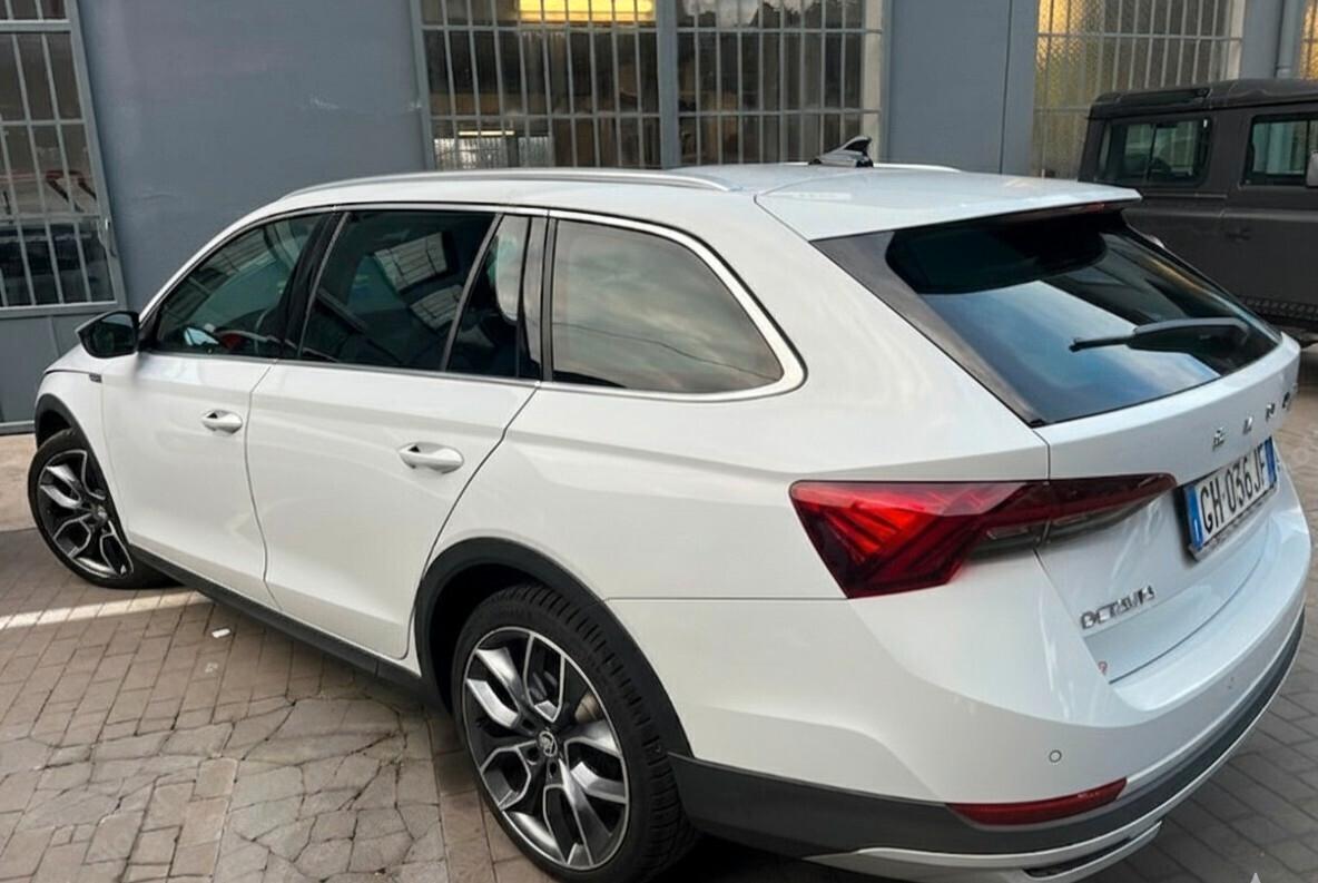 Skoda Octavia 2.0 TDI EVO SCR 200 CV DSG 4x4 Wagon Scout