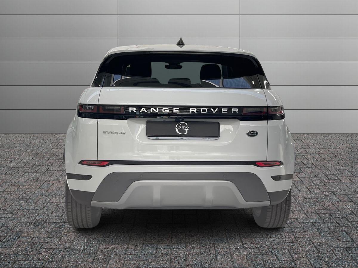 LAND ROVER Range Rover Evoque II 2019 - Evoque 2.0d i4 mhev SE awd 163cv auto