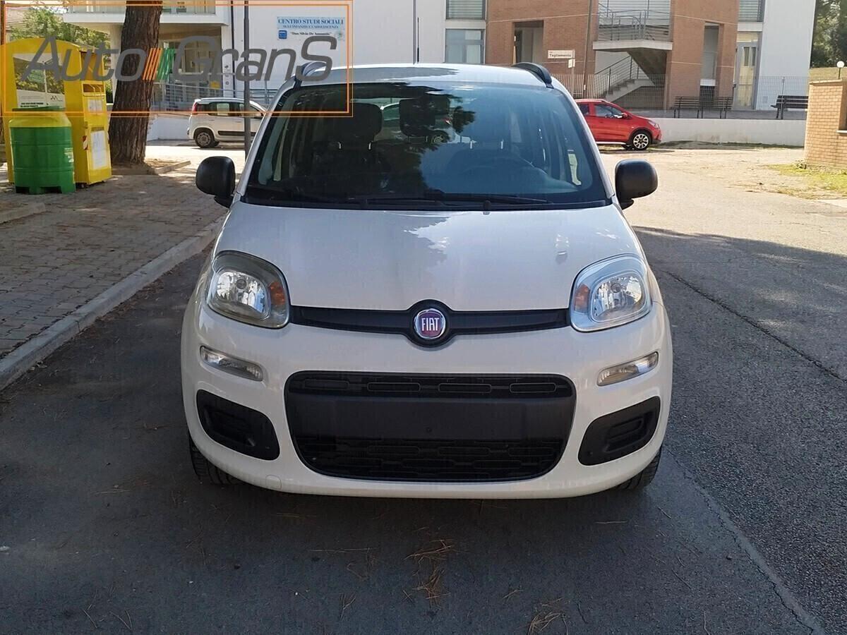 FIAT PANDA 1.2 Lounge Bianco 5Posti