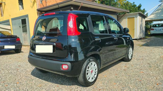 FIAT Panda 1.2 69 CV Easy BENZINA EURO 6