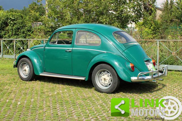 VOLKSWAGEN Maggiolino 1.2 11D 6 volt