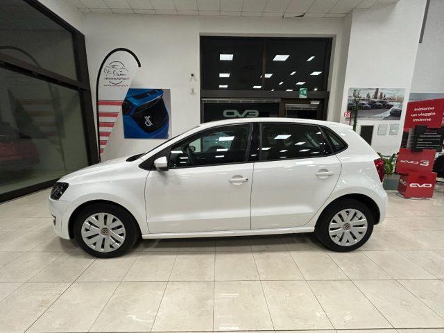 VOLKSWAGEN Polo 1.2 TDI DPF 5 p. Comfortline -OK NEOPATENTATI