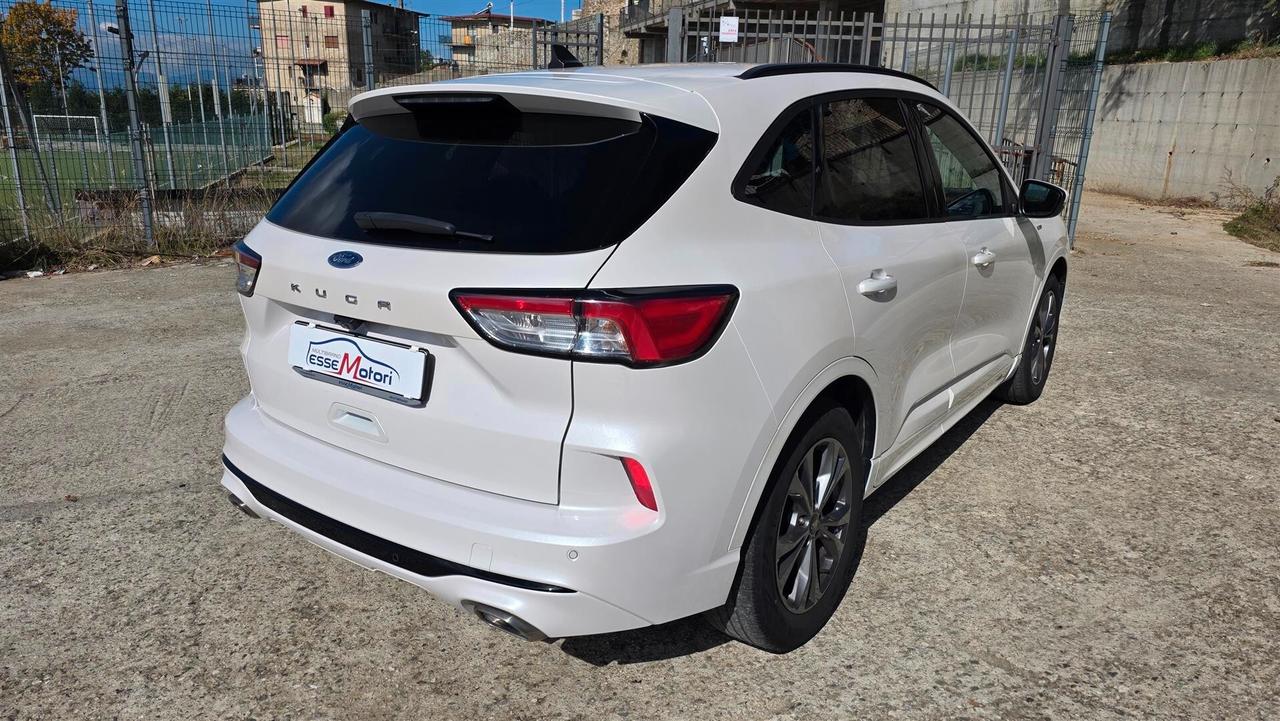 Ford Kuga 1.5 EcoBlue 120 CV aut. 2WD ST-Line X