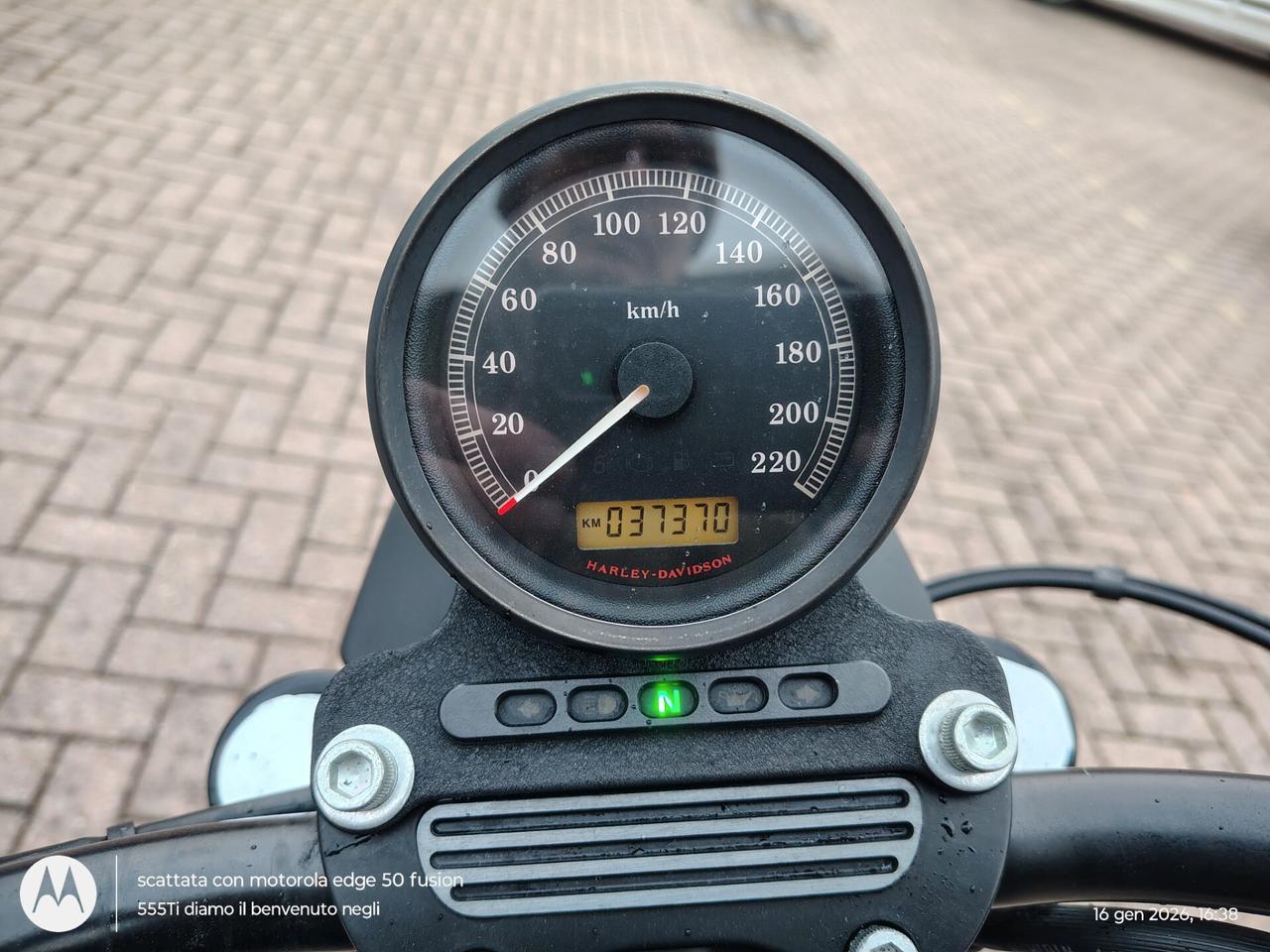 Harley-davidson 883 Sportster R PERMUTA
