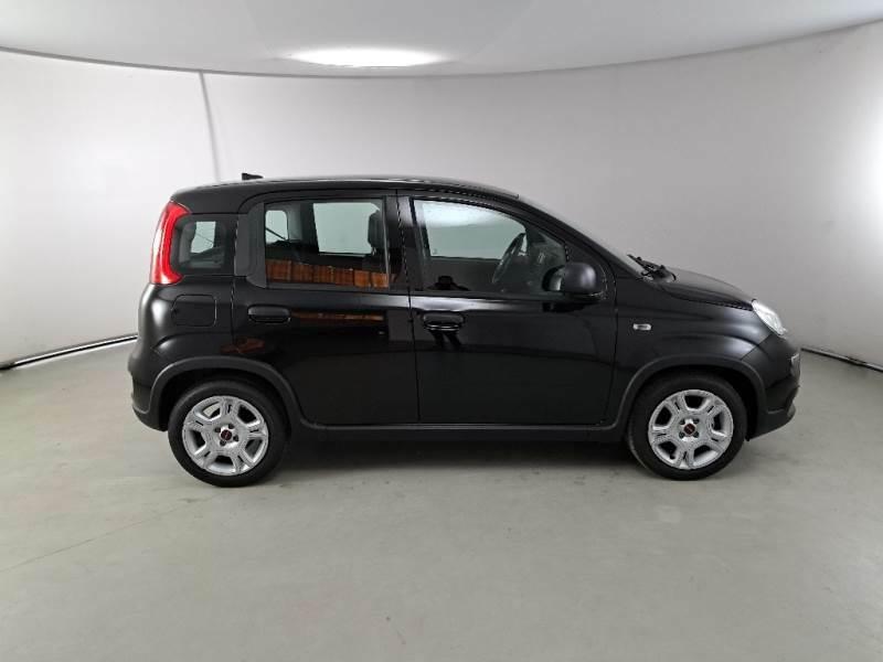 FIAT PANDA 1.0 FIREFLY 70 CV SES HYBRID 5 PORTE BERLINA
