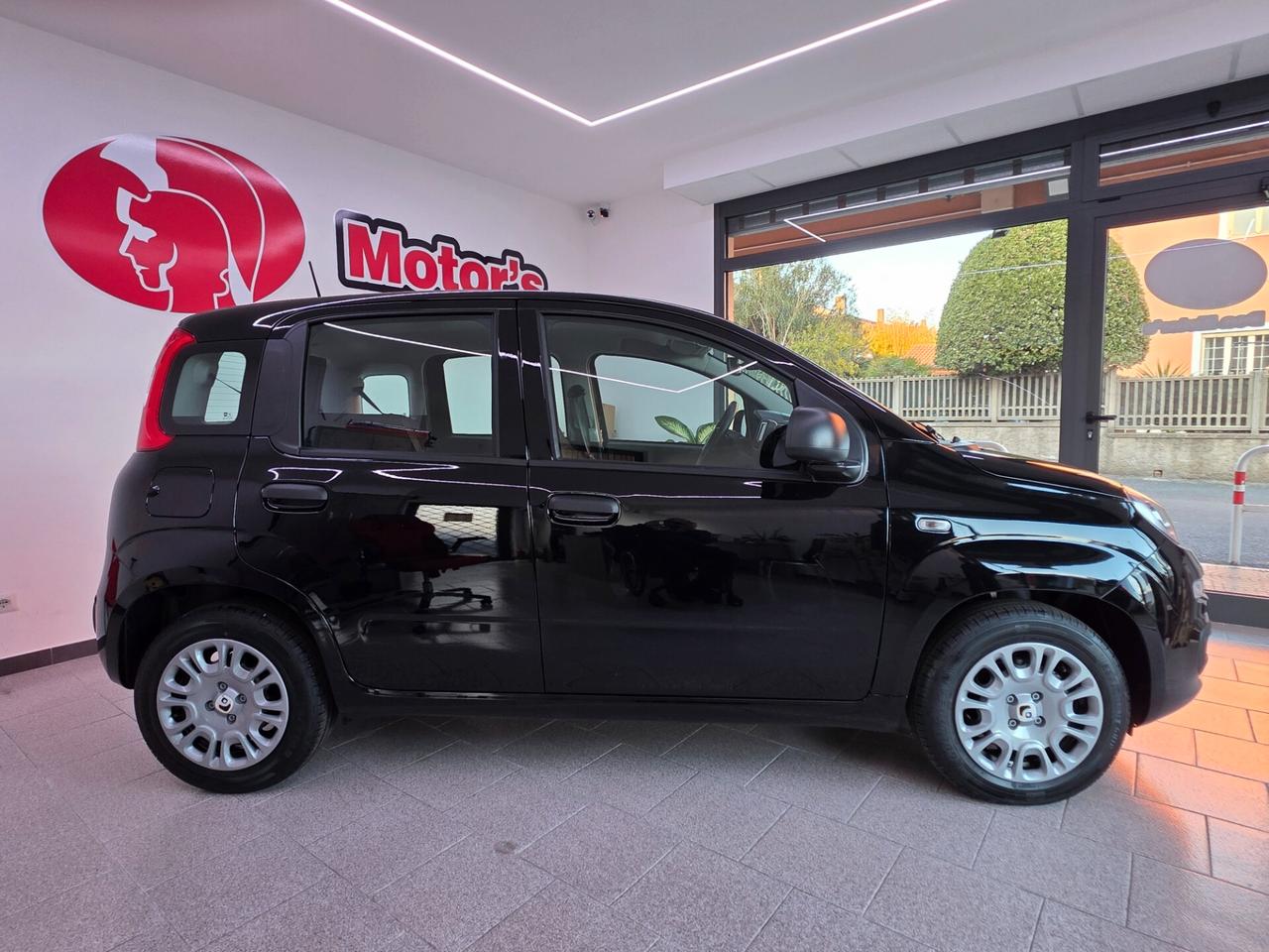 Fiat Panda 1.0 FireFly S&S Hybrid Pandina Uniproprietario nuova