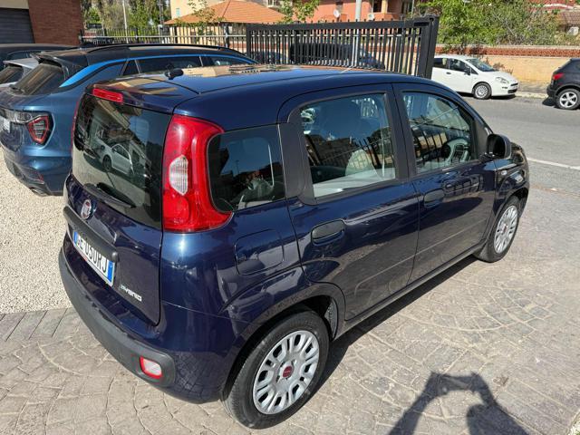 FIAT Panda 1.0 FireFly S&S Hybrid Eas 5 posti no obbligo fina