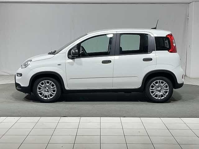 Fiat Panda 1.0 FireFly S&S Hybrid KM0