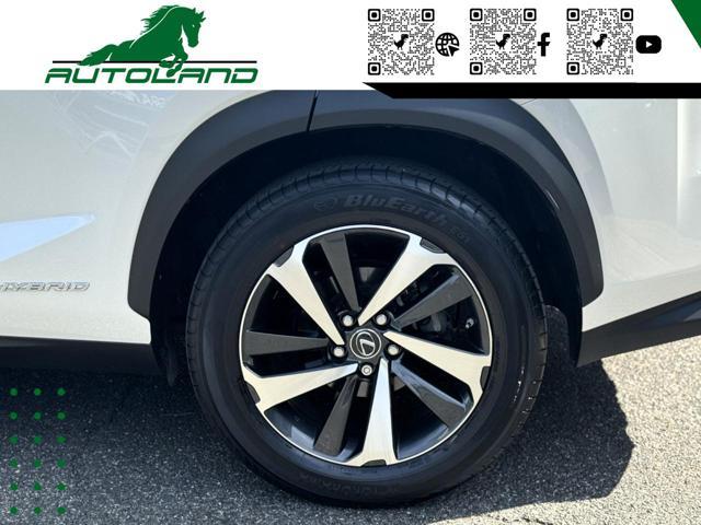 LEXUS NX 300 Hybrid 4WD Executive 155 CV