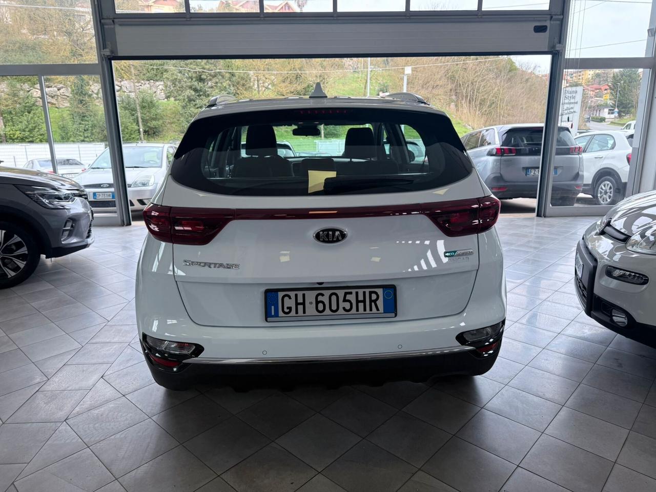 Kia Sportage 1.6 CRDI 136 CV DCT7 2WD Mild Hybrid Business Class