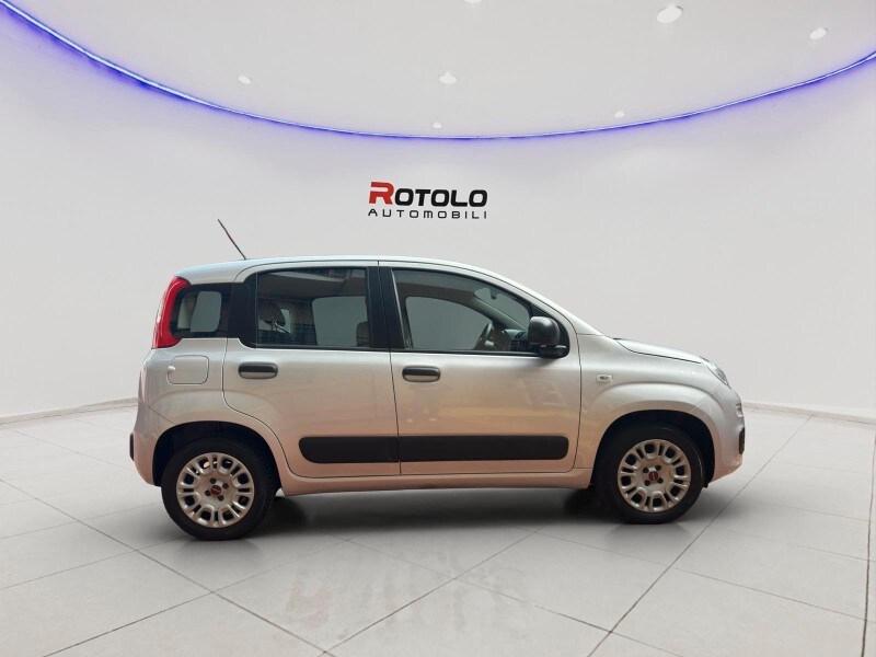 FIAT Panda 3ª serie Panda 1.2 Easy