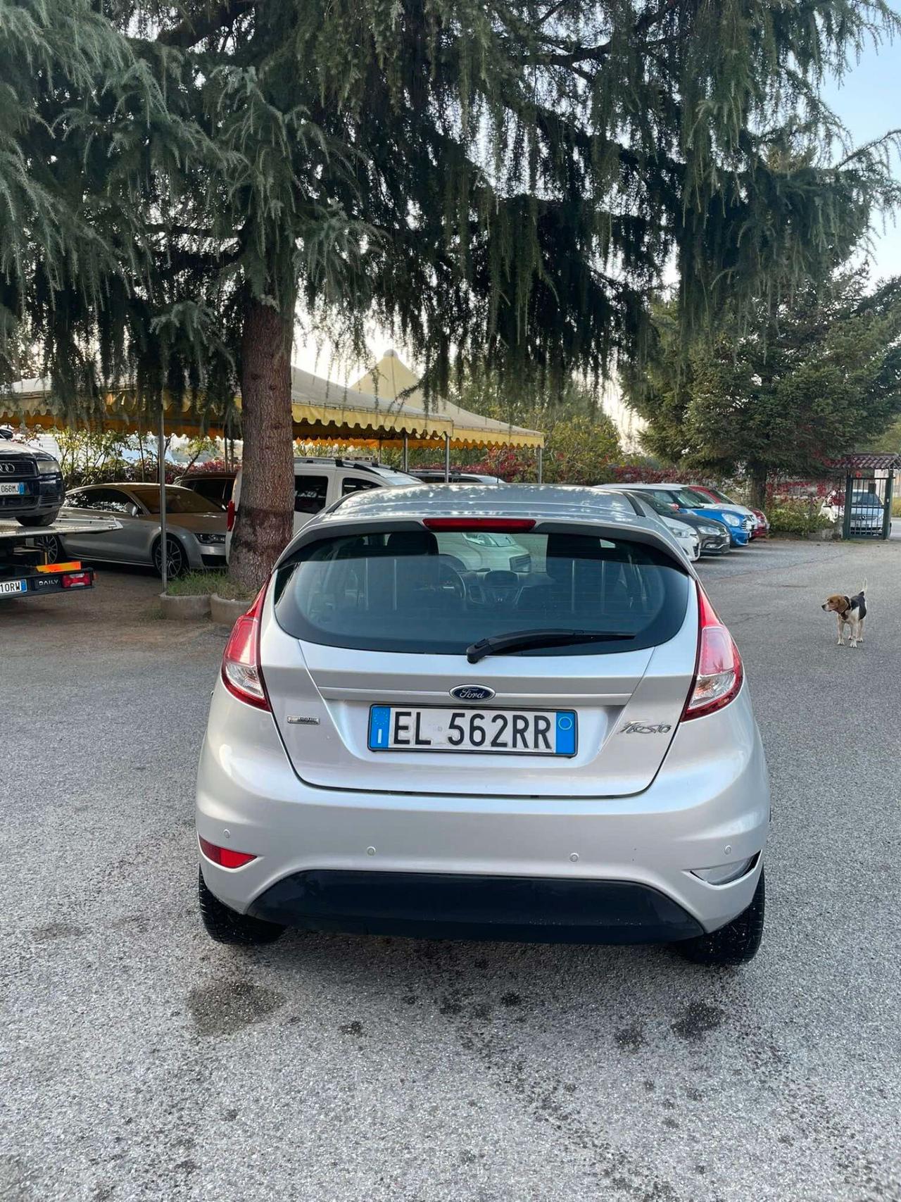 Ford Fiesta 1.5 TDCi 75CV 5 porte-2013