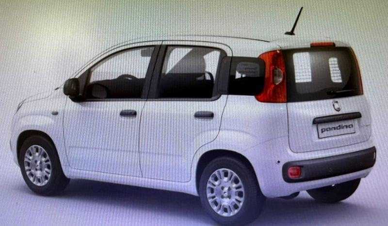 FIAT Panda 1.0 FireFly 70cv S&S Hybrid Icon