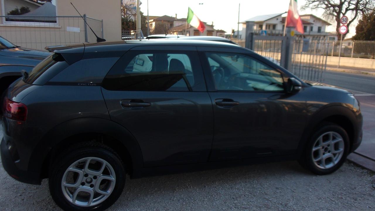Citroen C4 Cactus BlueHDi 100 S&S Feel