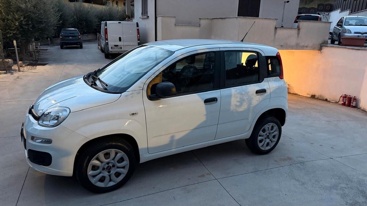 Fiat Panda NATURAL POWER METANO BENZINA CLIMA UNIPRO'
