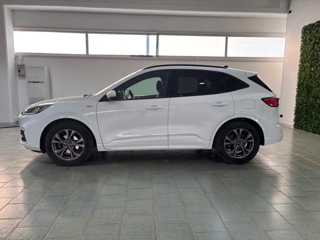 Ford Kuga 1.5 EcoBlue 120 CV 2WD ST-Line