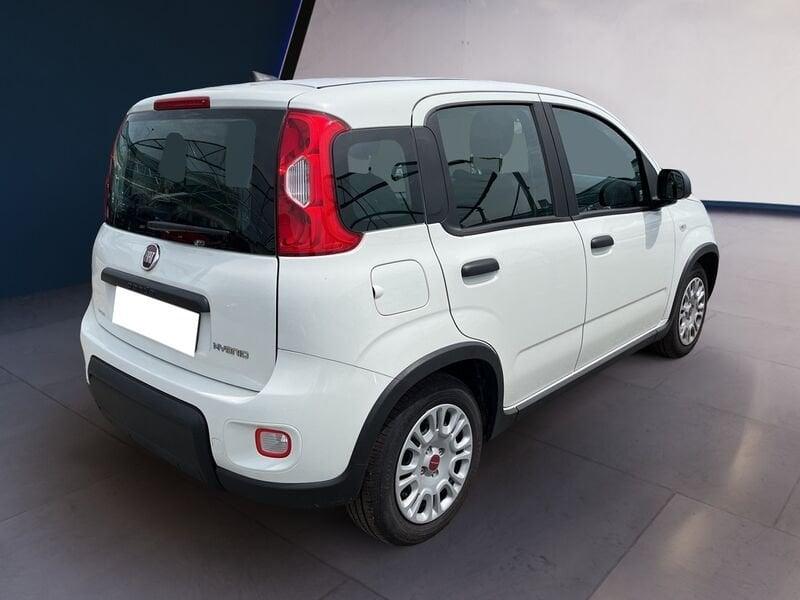 FIAT Panda My23 1.0 70cv Hybrid Panda